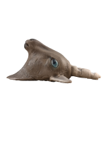Steinbock