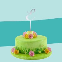 Cake Topper spiegel E auf Torte