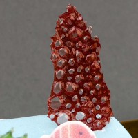 Bubble Platte aus Glukosesirup in Rot als Koralle