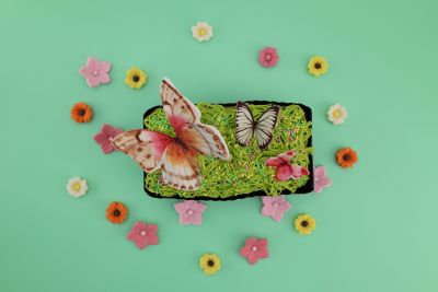 butterflycake_topview_flowers_(1)
