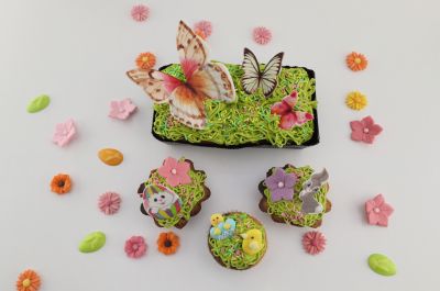 easter_sortiment_colorful_topview_(1)